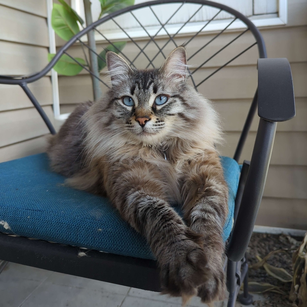 Meet your Posher, Hailie